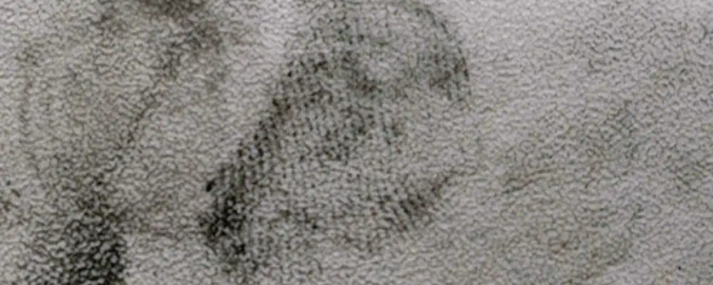 Untersuchung von Fingerabdrücken